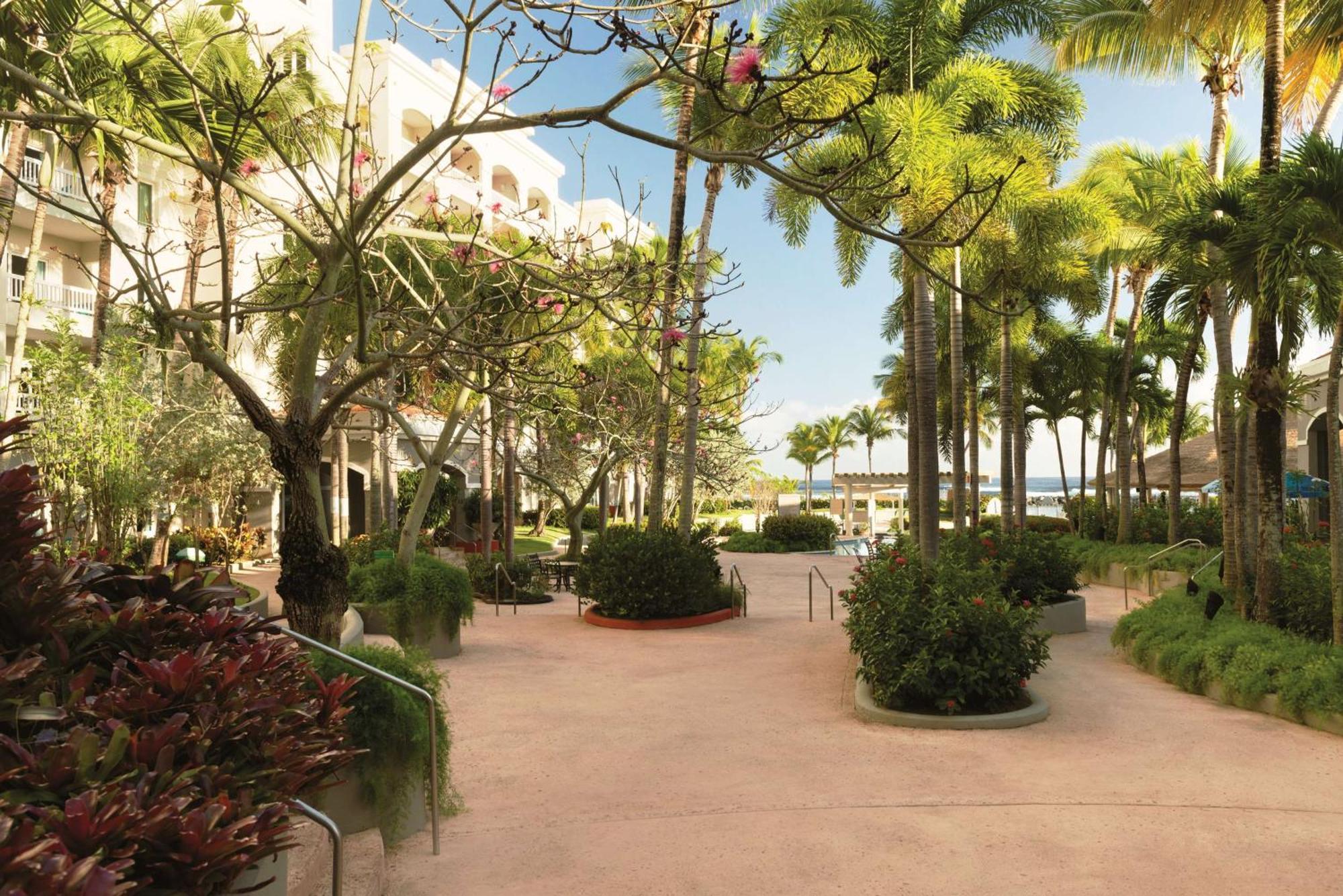 Embassy Suites By Hilton Dorado Del Mar Beach Resort Kültér fotó